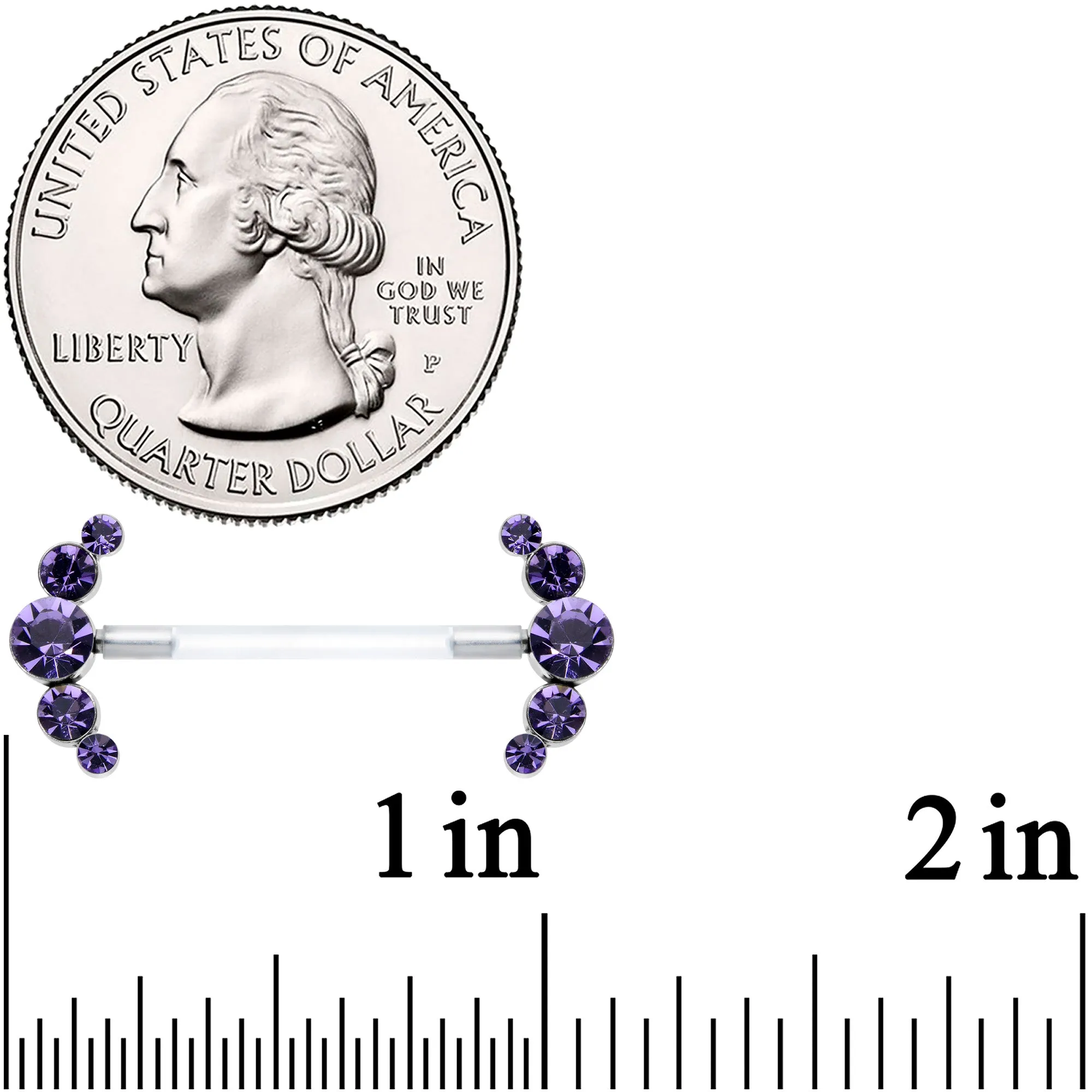 14 Gauge 13/16 Purple Gem Bioplast Simple Curve Nipple Ring Set