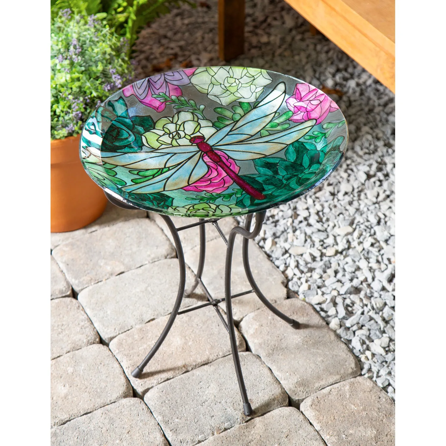 16" Glass Bird Bath w/Stand, Dragonfly on Succulents,2gb6883