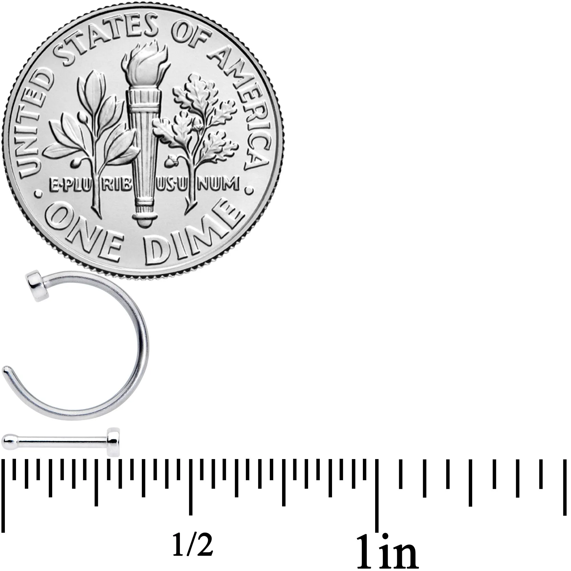 20 Gauge 1/4 5/16 Clear CZ Gem Shell Nautical Hoop Nose Bone Set of 6
