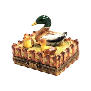 3 Ducks on Farm