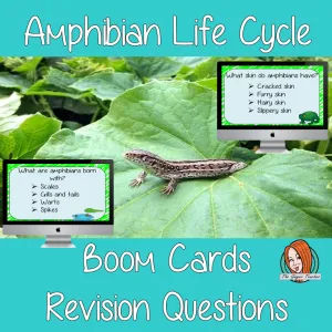 Amphibian Life Cycle Revision Questions