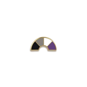 Asexual Pride Enamel Pin by Pinultimate