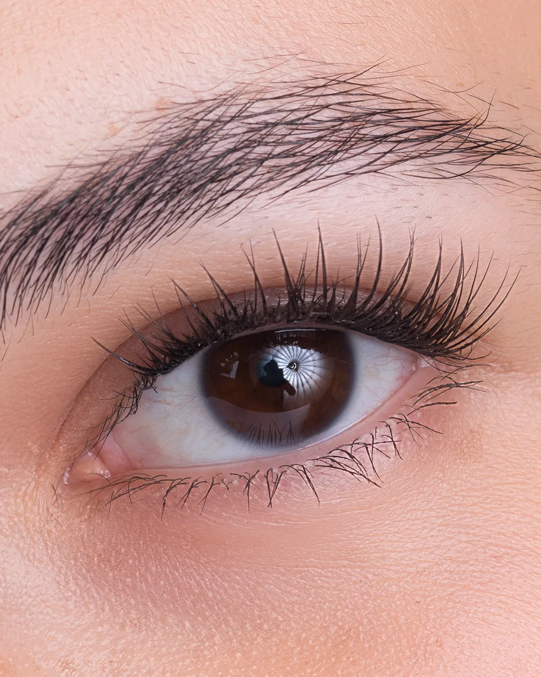 At-home lash essentials kit