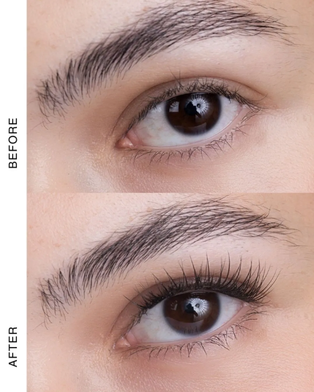 At-home lash essentials kit