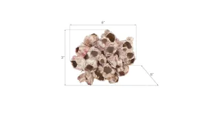 Barnacle Cluster Wall Art