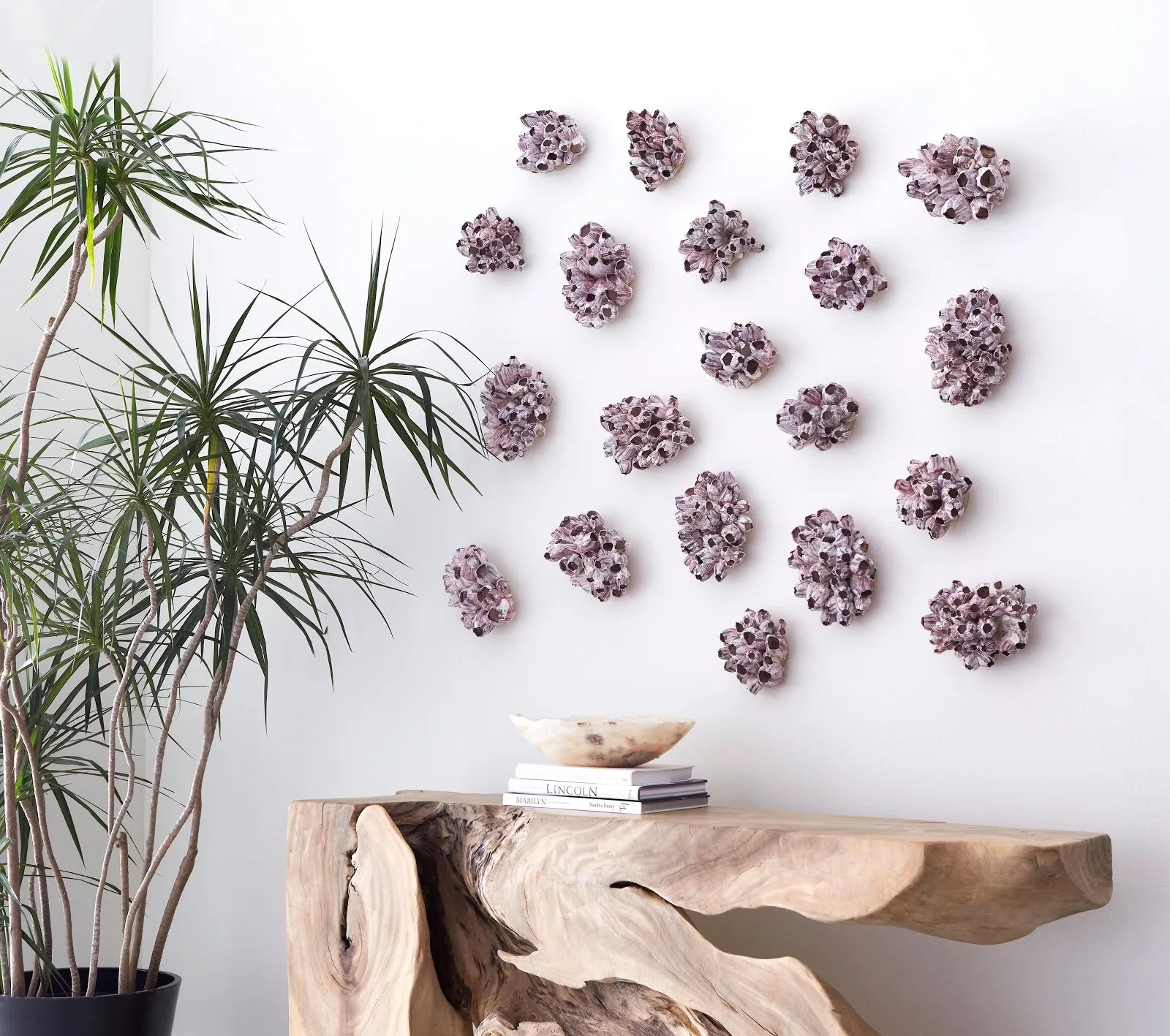 Barnacle Cluster Wall Art