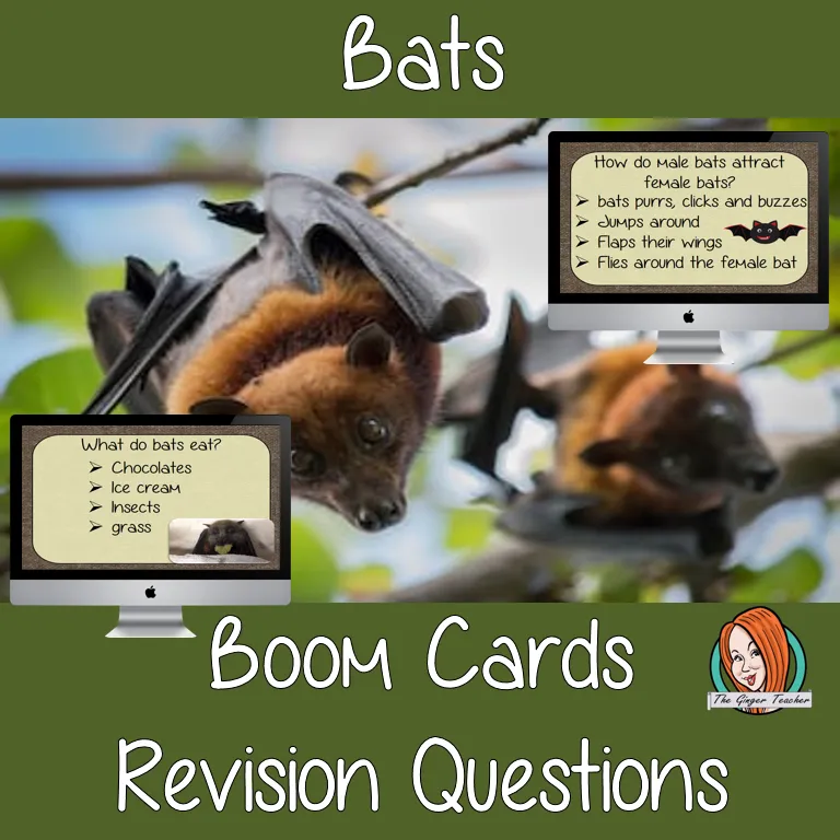 Bats Revision Questions