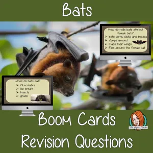 Bats Revision Questions