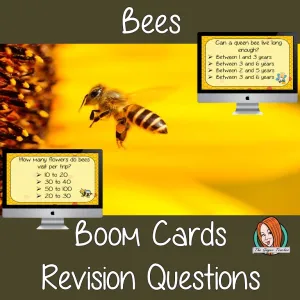 Bees Revision Questions