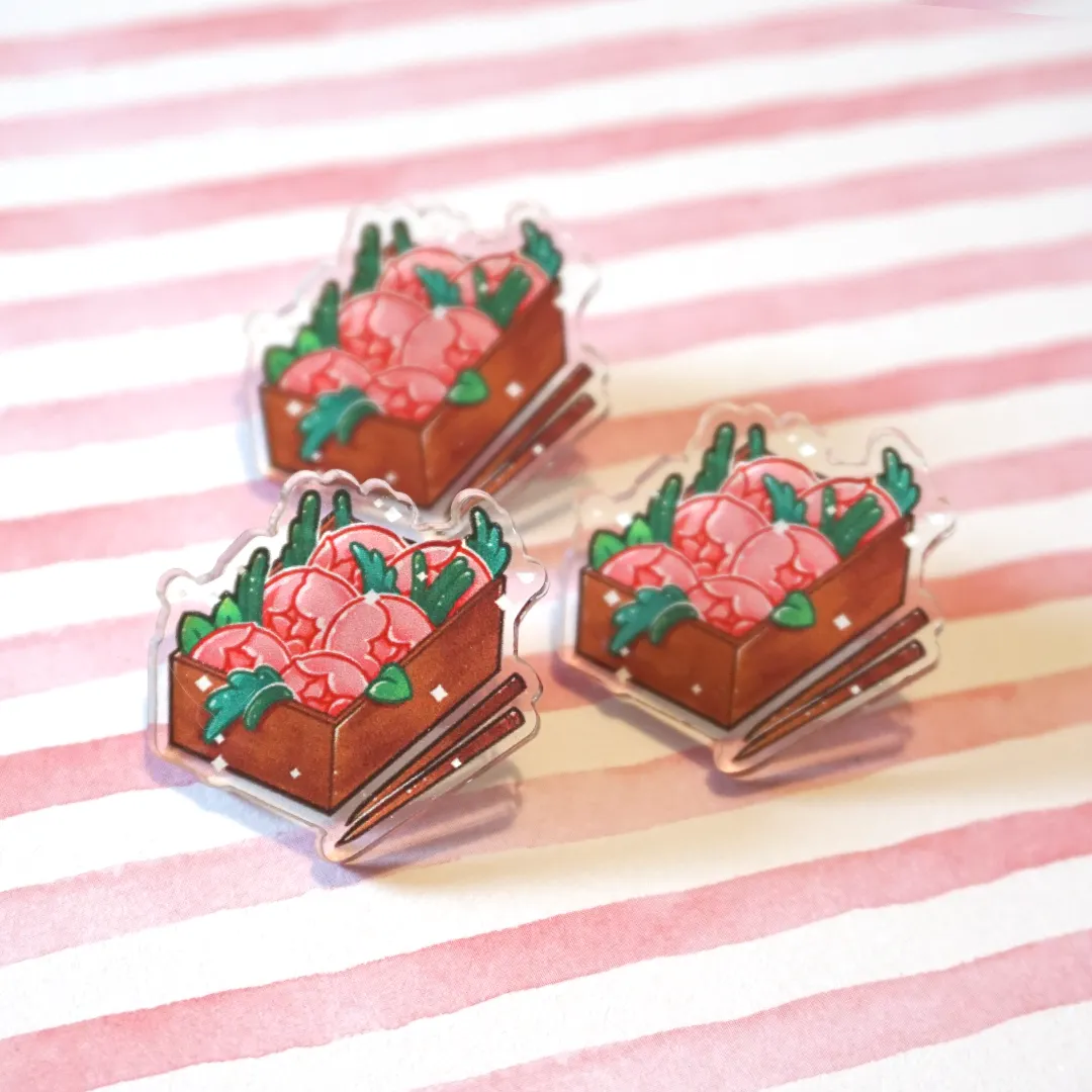 Bento | Acrylic Pin