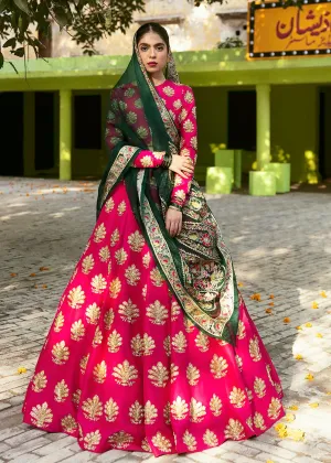 Berry Pink Lehenga Choli Wedding Dress Pakistani #BS796