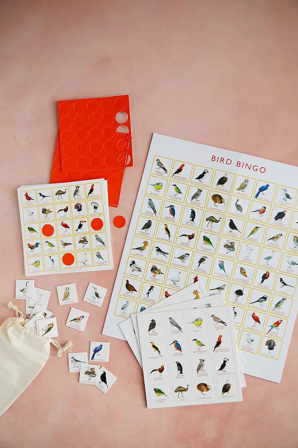 Bird Bingo