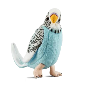 Blue Budgerigar with Sound