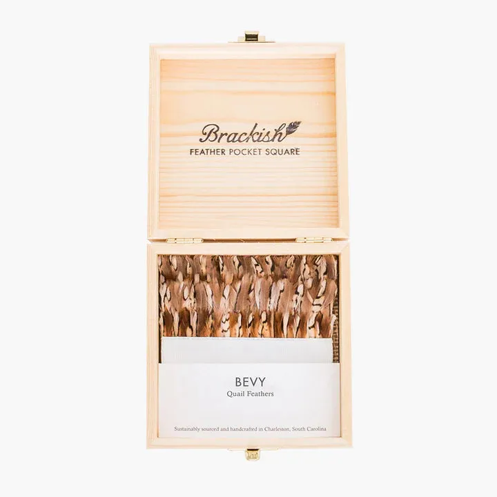 Brackish - Bevy Pocketsquare - Quail Feathers