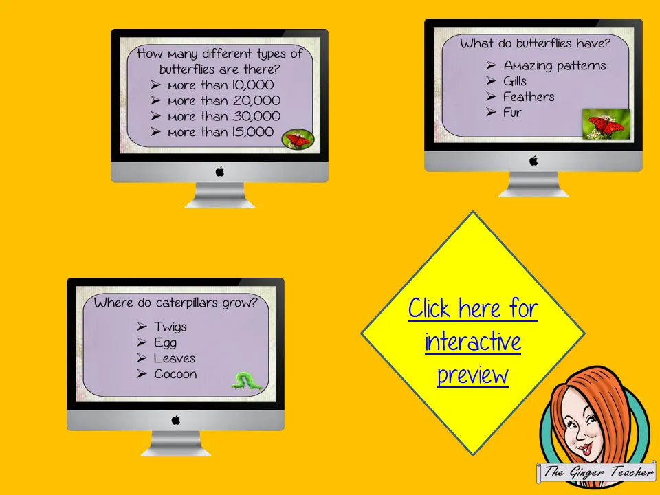 Butterflies Revision Questions
