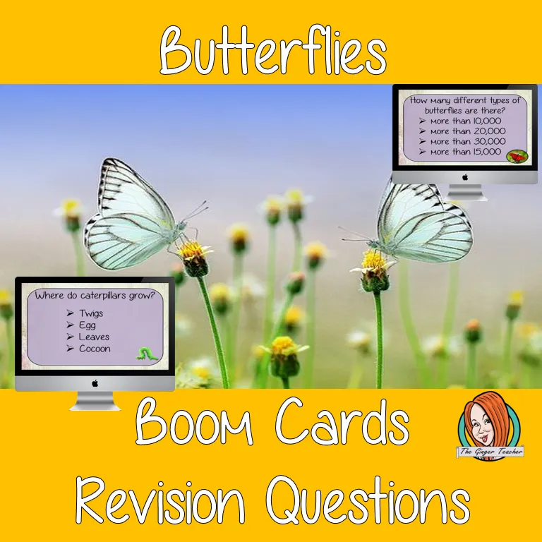 Butterflies Revision Questions