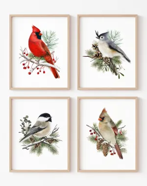 Christmas Bird Art Prints - Set of 4