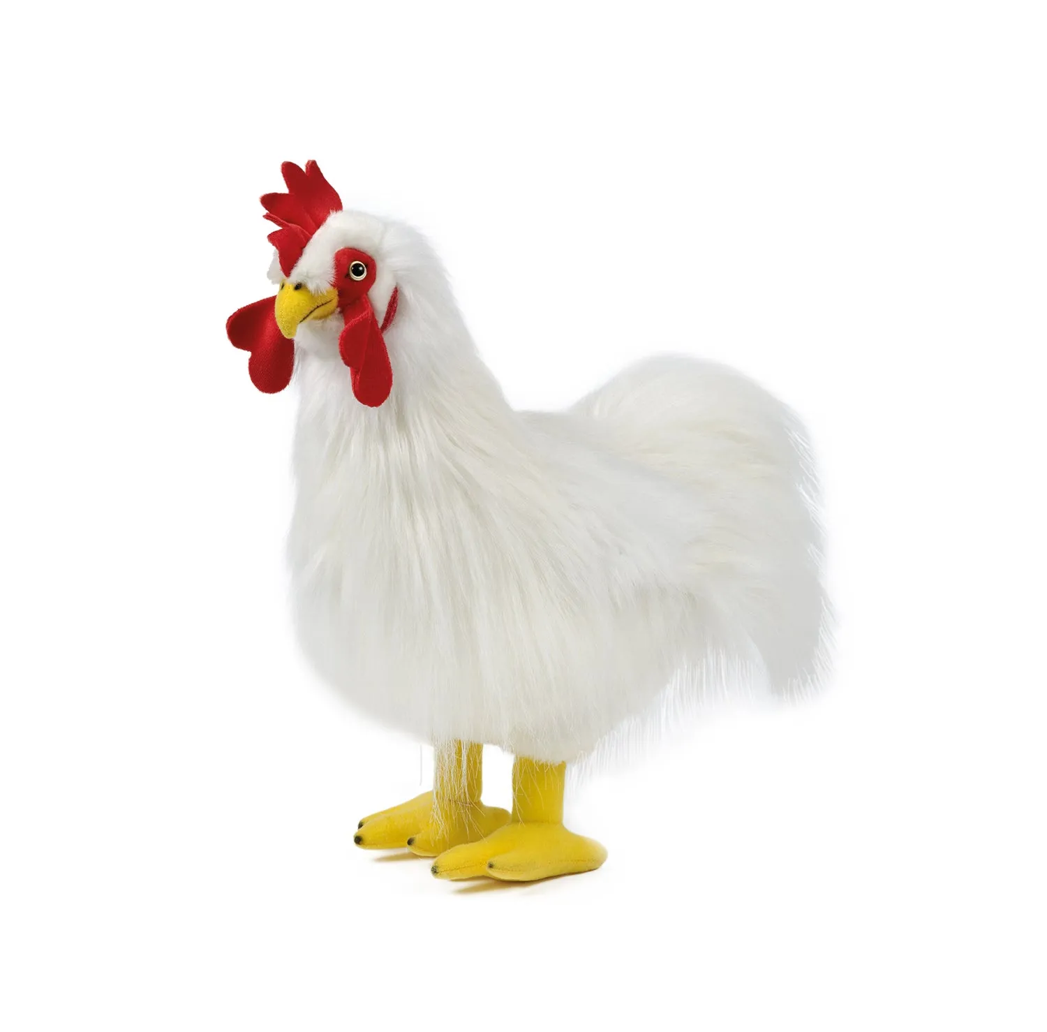 Cockerel
