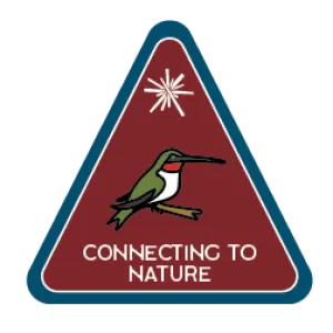 Connecting to Nature