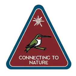 Connecting to Nature