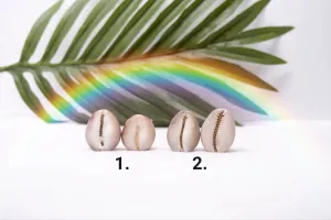 Cowrie Hair Pins