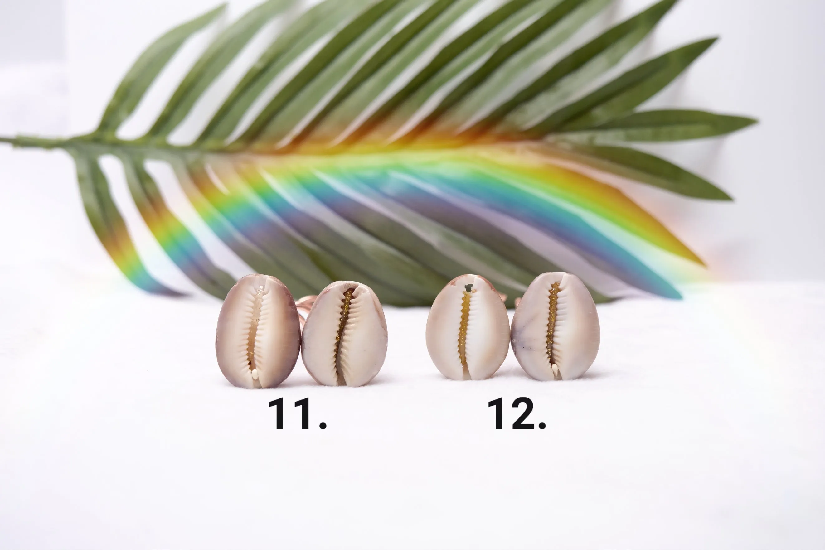 Cowrie Hair Pins