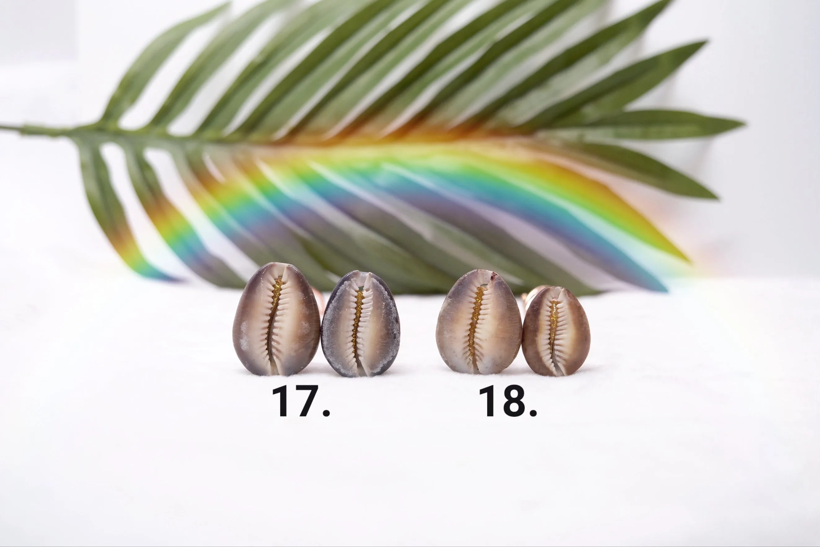 Cowrie Hair Pins