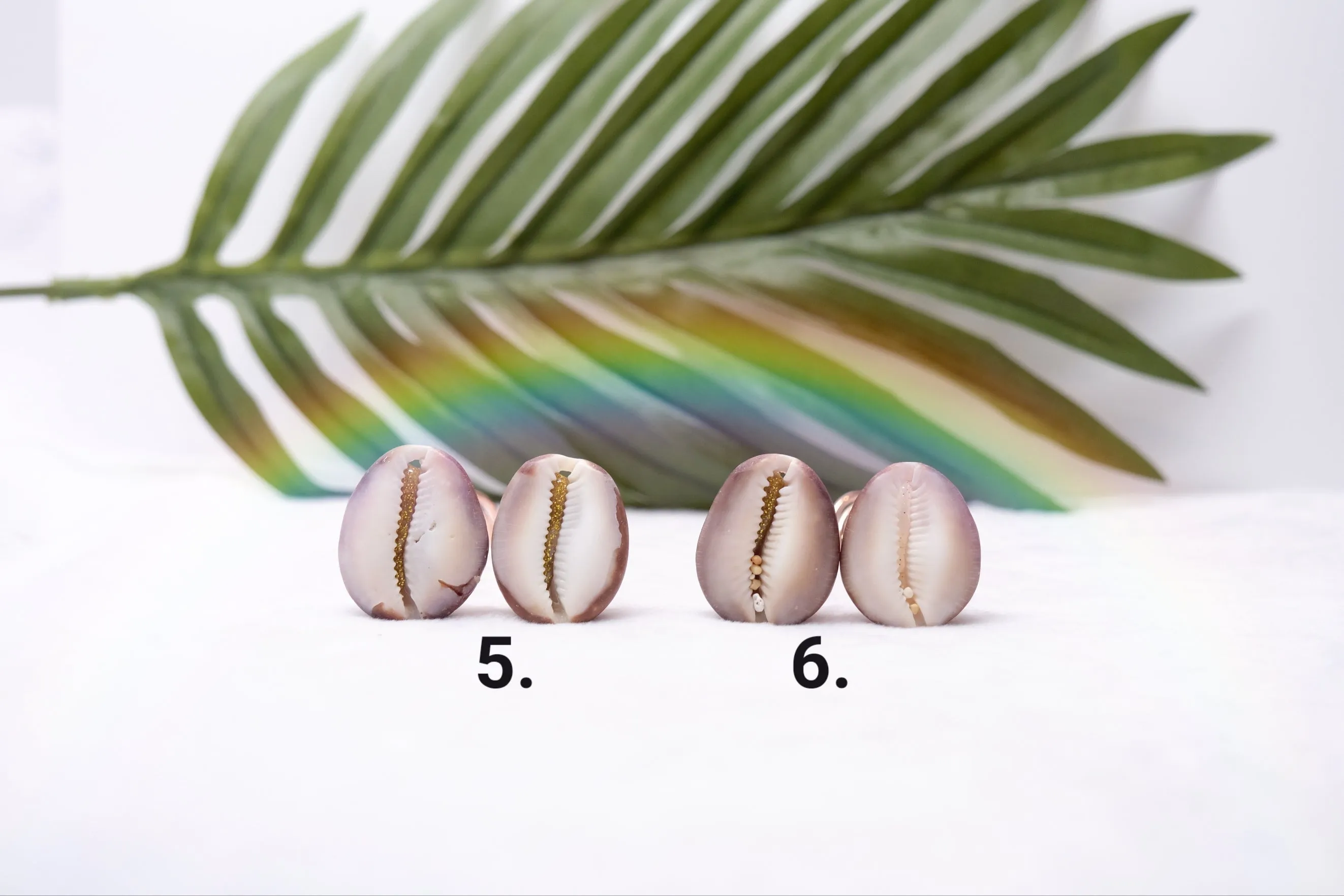 Cowrie Hair Pins