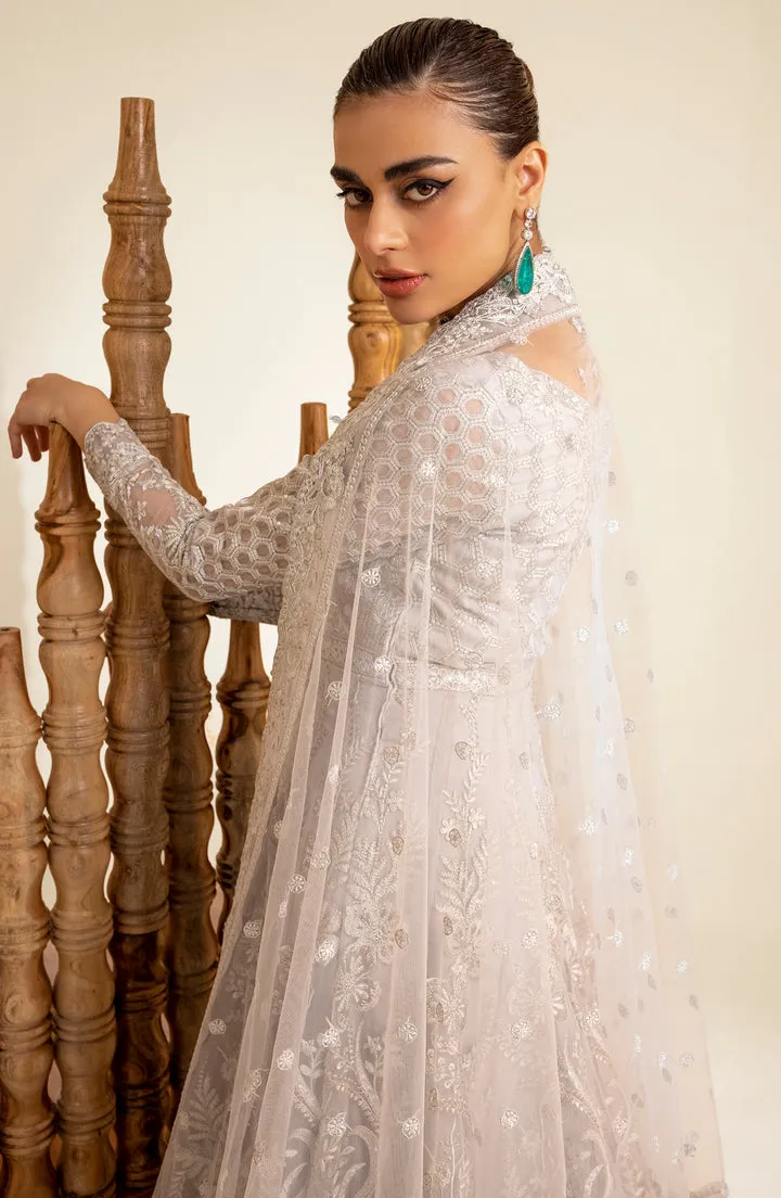 Elegant Silver Thorn Pakistani Wedding Dress Pishwas Frock Style