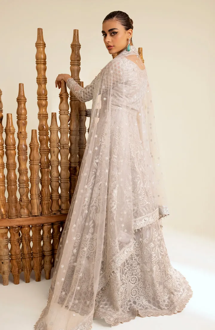 Elegant Silver Thorn Pakistani Wedding Dress Pishwas Frock Style