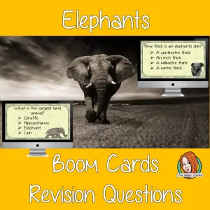 Elephants Revision Questions