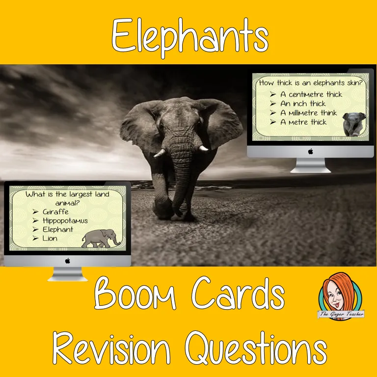 Elephants Revision Questions