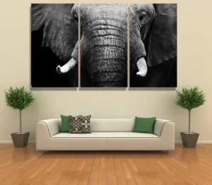 Elephant's Wisdom Canvas