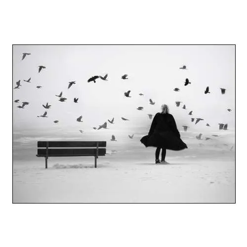 Enjoy Life