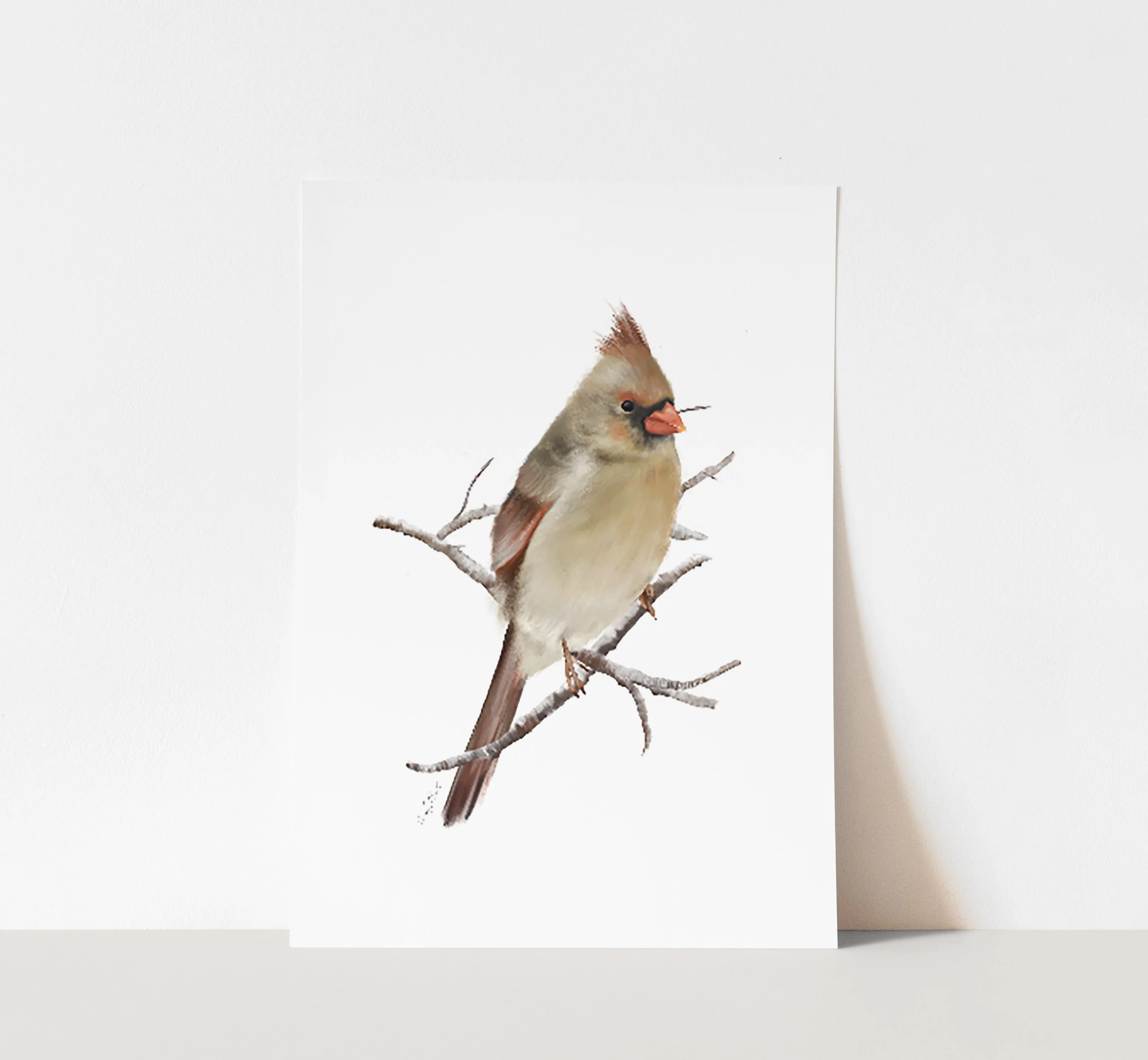 Female Cardinal Bird Art Print