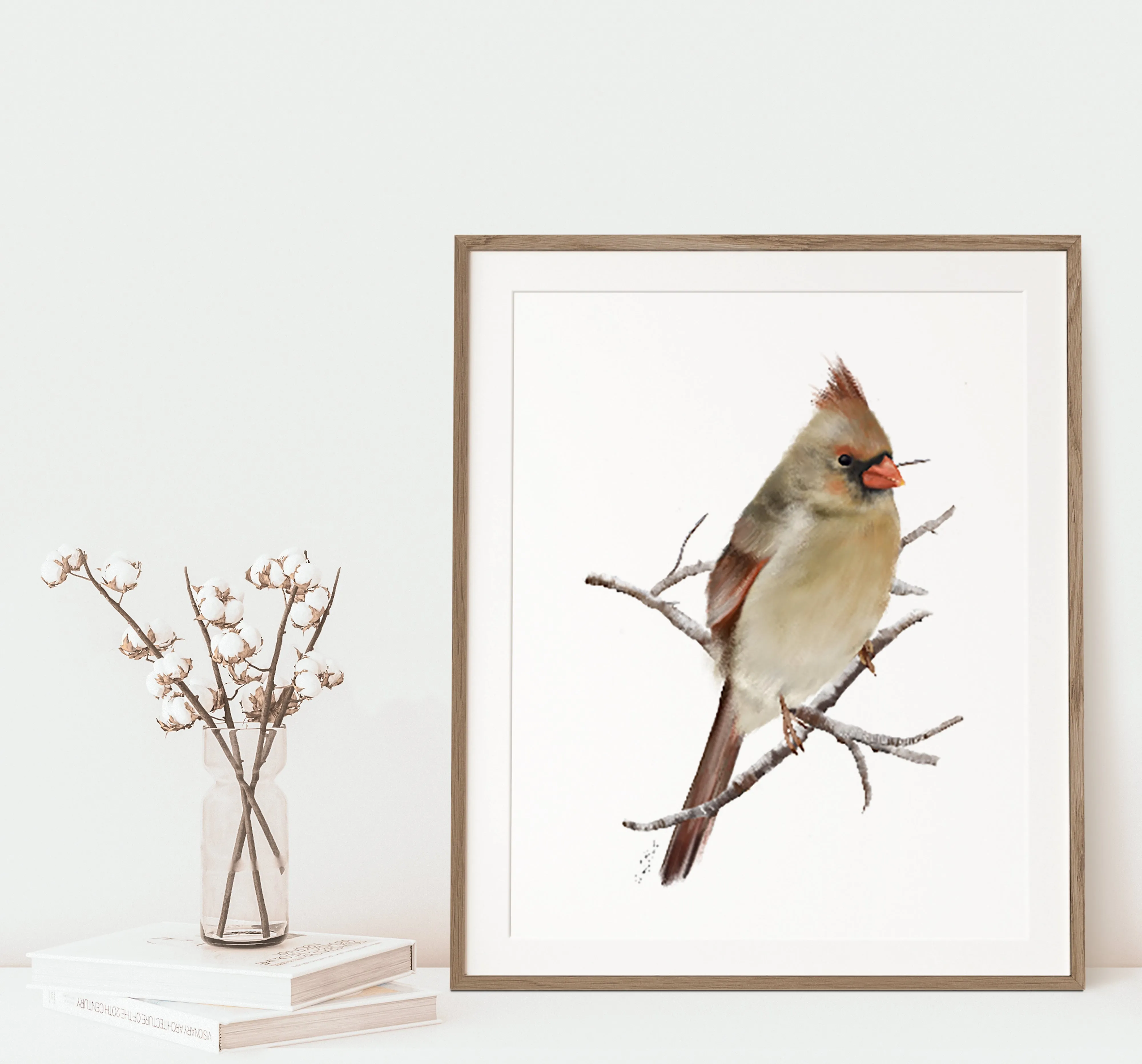 Female Cardinal Bird Art Print