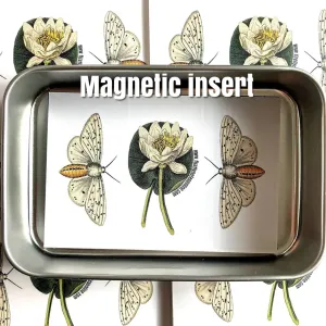 Firefly Magnets