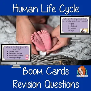 Human Life Cycle Revision Questions