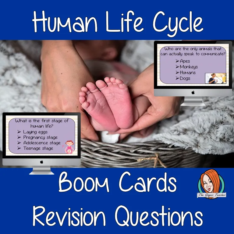 Human Life Cycle Revision Questions