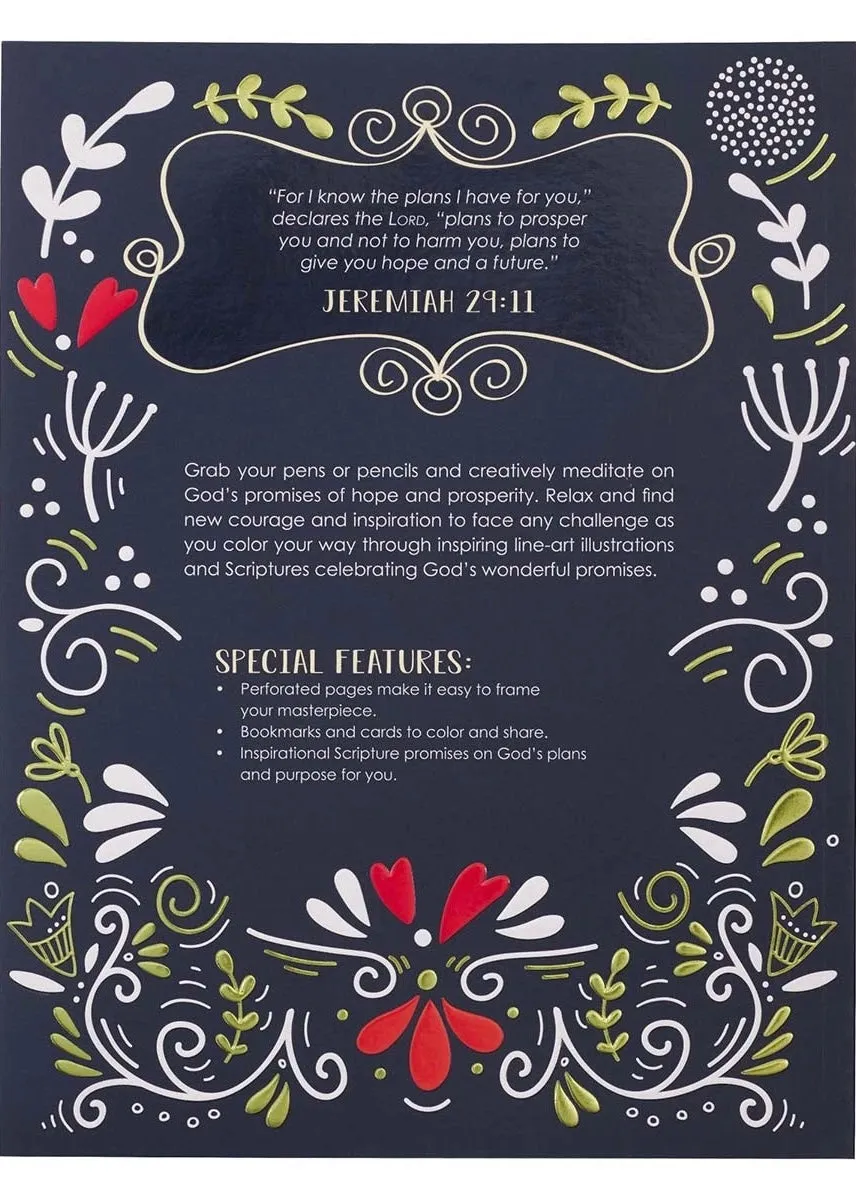 I Know The Plans Coloring Book