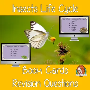 Insect Life Cycle Revision Questions