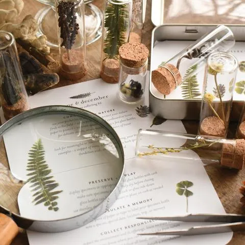 June & December - Specimen Collecting Kit