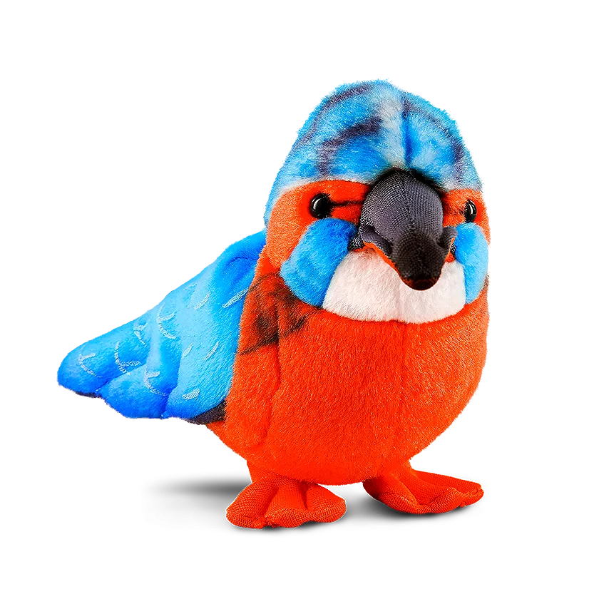 Kingfisher
