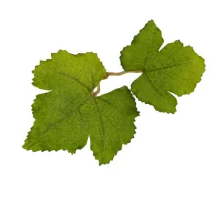 Leaf Camo – LC1