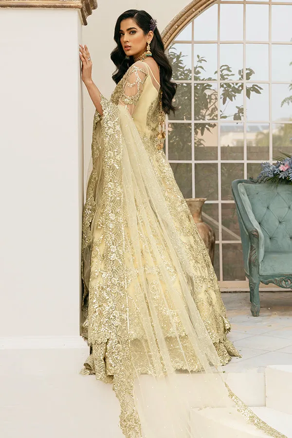 Lehenga with Front Open Gown Pakistani Dress #BS845