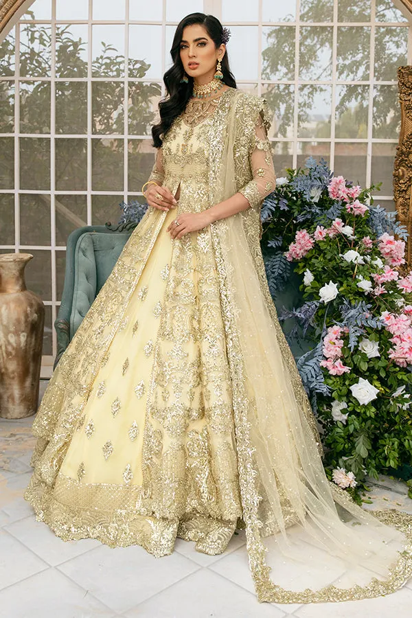 Lehenga with Front Open Gown Pakistani Dress #BS845