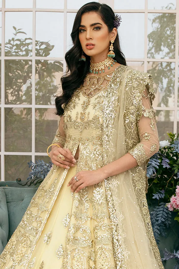 Lehenga with Front Open Gown Pakistani Dress #BS845