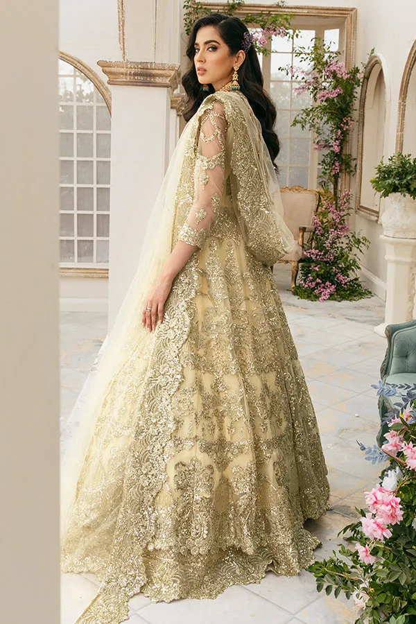 Lehenga with Front Open Gown Pakistani Dress #BS845