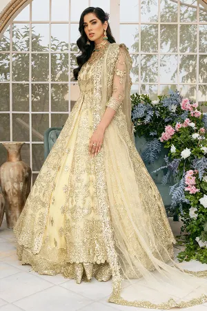 Lehenga with Front Open Gown Pakistani Dress #BS845