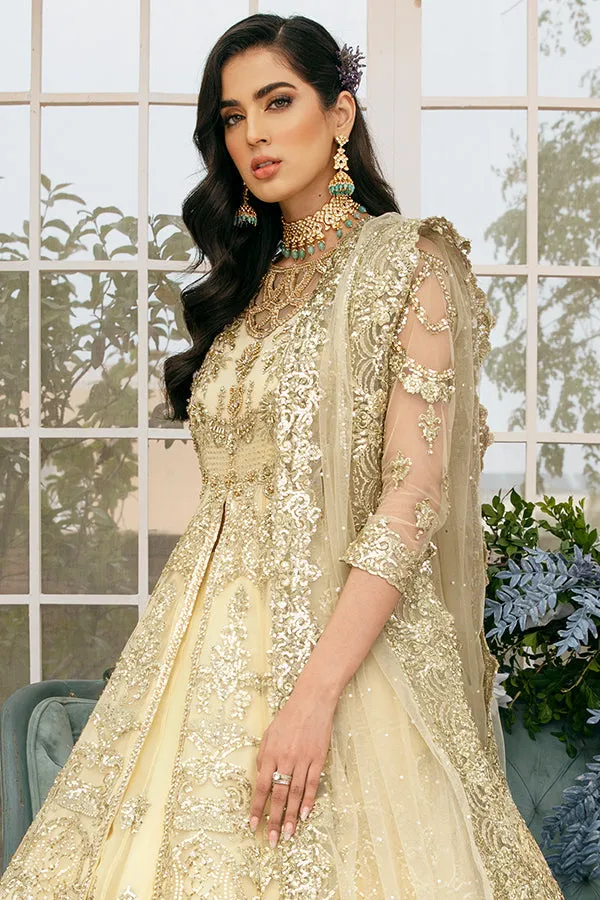 Lehenga with Front Open Gown Pakistani Dress #BS845